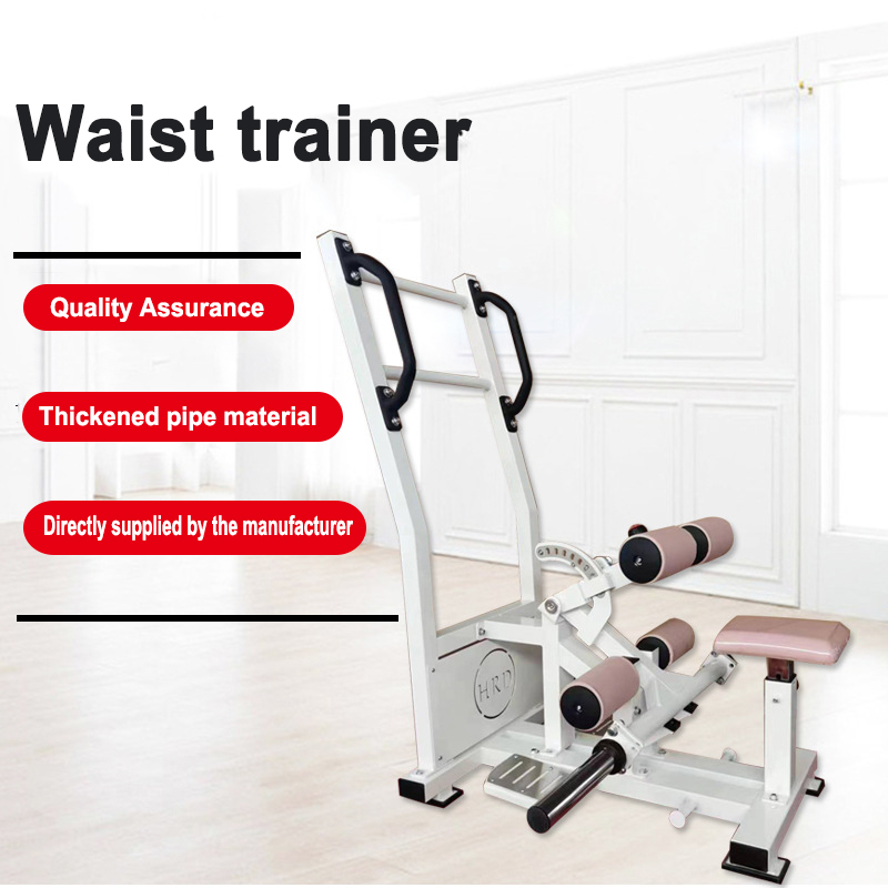 メーカーカスタマイズウエストトレーナー、ジム、ヒップ＆レッグ - Home Gym Weight Machine のレビューと価格